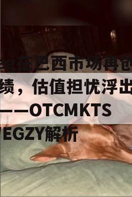 Weg在巴西市场再创佳绩，估值担忧浮出水面——OTCMKTS:WEGZY解析