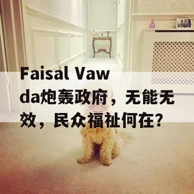 Faisal Vawda炮轰政府，无能无效，民众福祉何在？