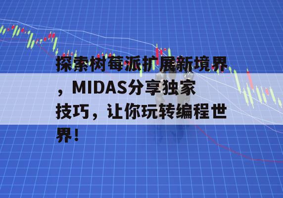 探索树莓派扩展新境界，MIDAS分享独家技巧，让你玩转编程世界！