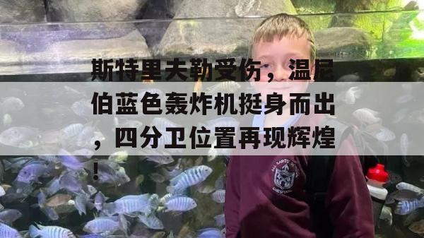 斯特里夫勒受伤，温尼伯蓝色轰炸机挺身而出，四分卫位置再现辉煌！