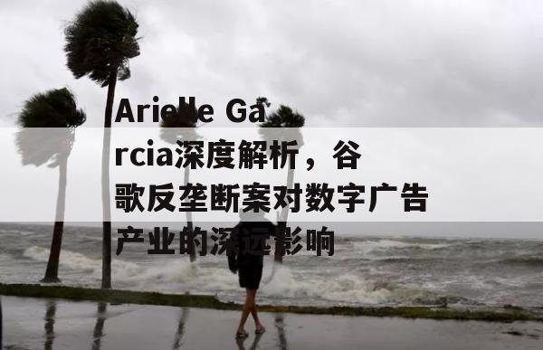 Arielle Garcia深度解析，谷歌反垄断案对数字广告产业的深远影响