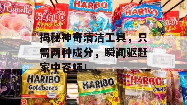 揭秘神奇清洁工具，只需两种成分，瞬间驱赶家中苍蝇！