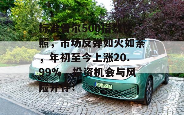 标准普尔500指数快照，市场反弹如火如荼，年初至今上涨20.99%，投资机会与风险并存！