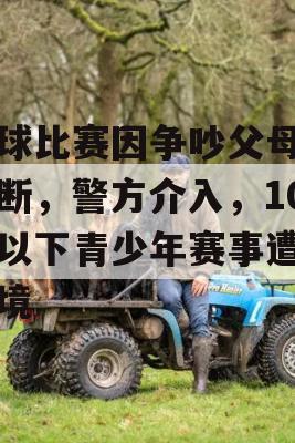 足球比赛因争吵父母被中断，警方介入，10岁以下青少年赛事遭遇困境