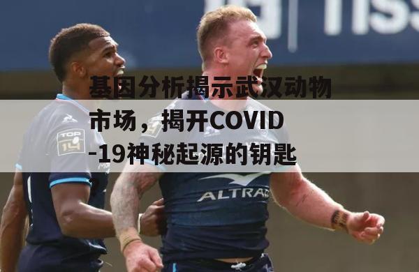 基因分析揭示武汉动物市场，揭开COVID-19神秘起源的钥匙？