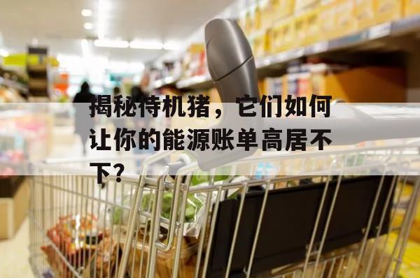 揭秘待机猪，它们如何让你的能源账单高居不下？