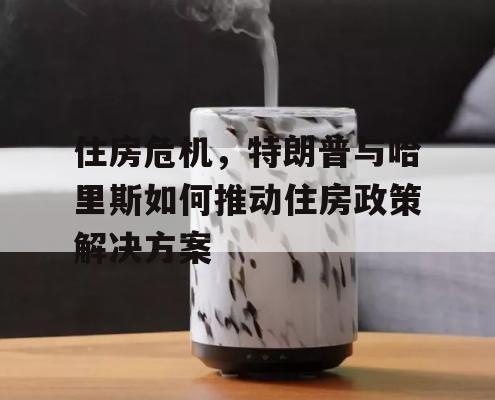 住房危机，特朗普与哈里斯如何推动住房政策解决方案