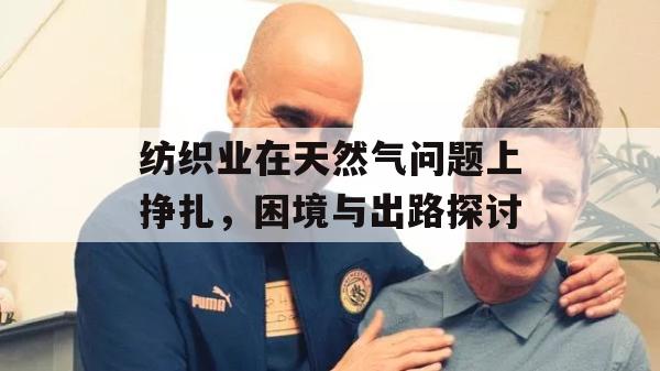 纺织业在天然气问题上挣扎，困境与出路探讨