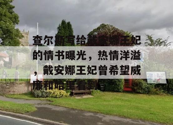 查尔斯写给戴安娜王妃的情书曝光，热情洋溢，戴安娜王妃曾希望威廉和哈里看到