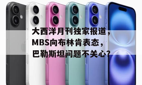 大西洋月刊独家报道，MBS向布林肯表态，巴勒斯坦问题不关心？