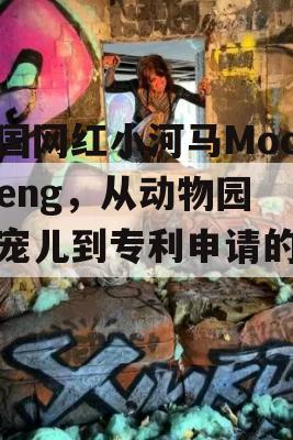 泰国网红小河马Moo Deng，从动物园的宠儿到专利申请的焦点