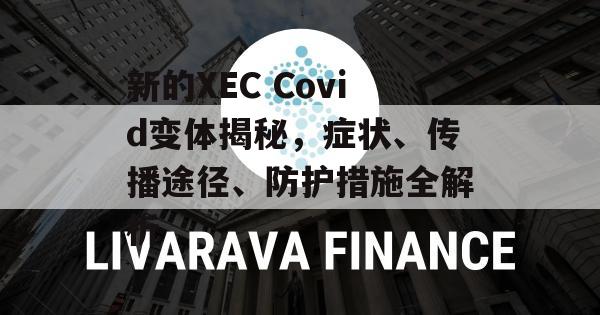 新的XEC Covid变体揭秘，症状、传播途径、防护措施全解析