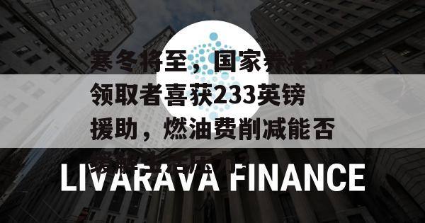 寒冬将至，国家养老金领取者喜获233英镑援助，燃油费削减能否缓解生活压力？