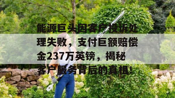 能源巨头因客户投诉处理失败，支付巨额赔偿金237万英镑，揭秘客户服务背后的真相！