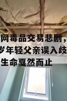 暗网毒品交易悲剧，23岁年轻父亲误入歧途，生命戛然而止