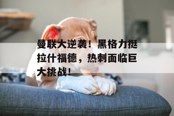 曼联大逆袭！黑格力挺拉什福德，热刺面临巨大挑战！