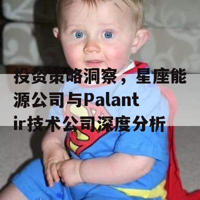 投资策略洞察，星座能源公司与Palantir技术公司深度分析