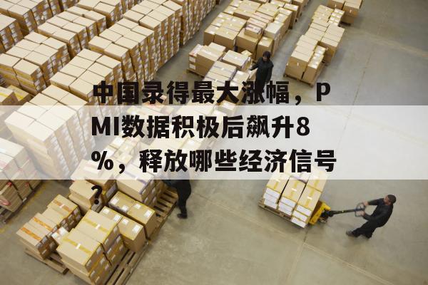 中国录得最大涨幅，PMI数据积极后飙升8%，释放哪些经济信号？