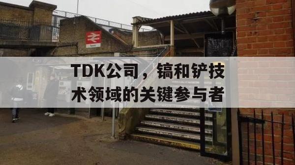 TDK公司，镐和铲技术领域的关键参与者