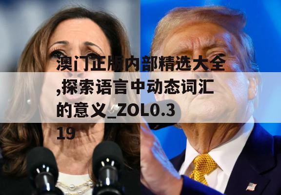 澳门正版内部精选大全,探索语言中动态词汇的意义_ZOL0.319