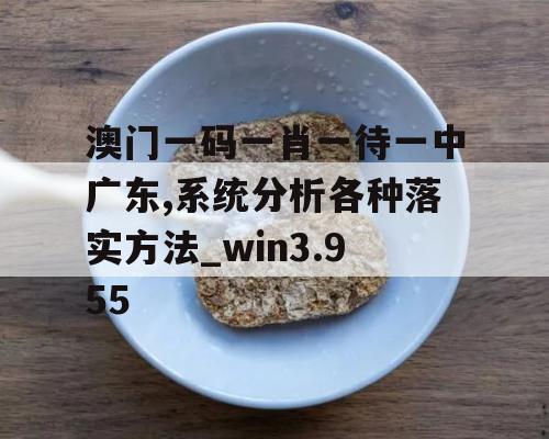 澳门一码一肖一待一中广东,系统分析各种落实方法_win3.955