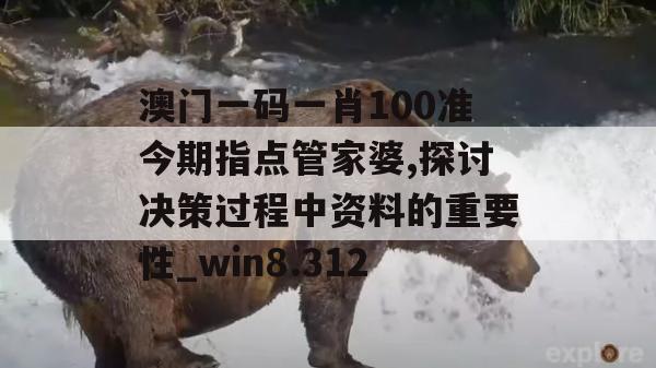 澳门一码一肖100准今期指点管家婆,探讨决策过程中资料的重要性_win8.312