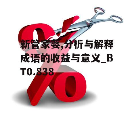 新管家婆,分析与解释成语的收益与意义_BT0.838