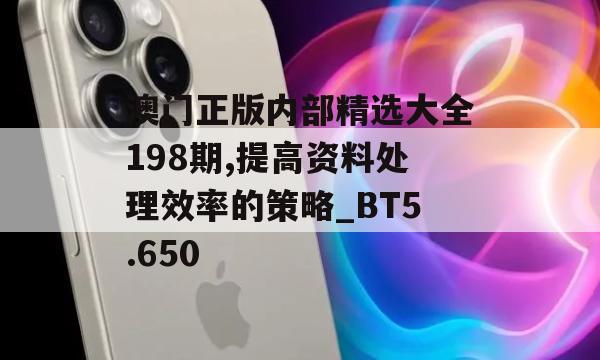 澳门正版内部精选大全198期,提高资料处理效率的策略_BT5.650