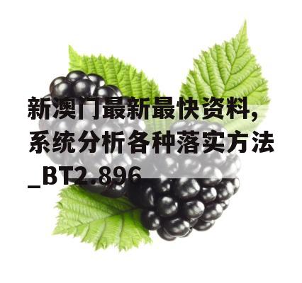 新澳门最新最快资料,系统分析各种落实方法_BT2.896