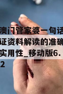 新澳门管家婆一句话,保证资料解读的准确性与实用性_移动版6.532