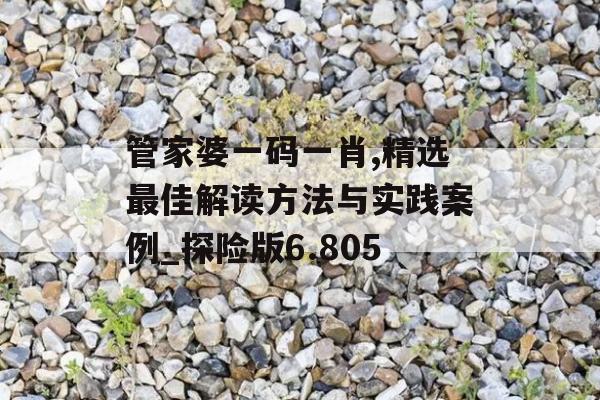 管家婆一码一肖,精选最佳解读方法与实践案例_探险版6.805