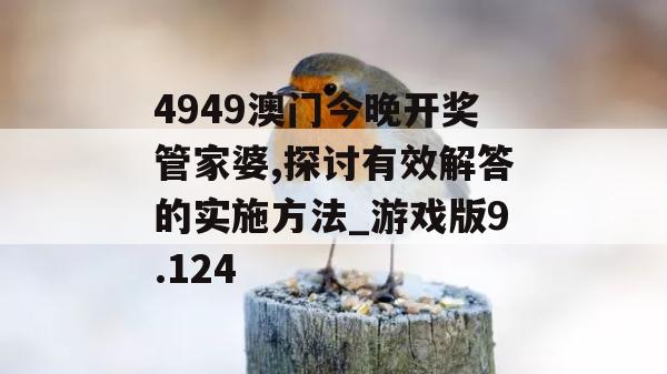 4949澳门今晚开奖管家婆,探讨有效解答的实施方法_游戏版9.124