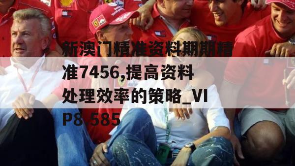 新澳门精准资料期期精准7456,提高资料处理效率的策略_VIP8.585