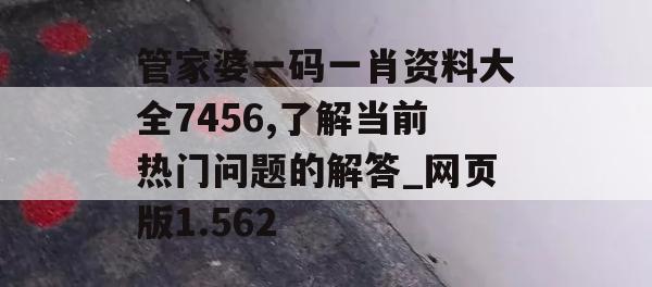 管家婆一码一肖资料大全7456,了解当前热门问题的解答_网页版1.562