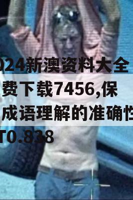 2024新澳资料大全免费下载7456,保障成语理解的准确性_BT0.838