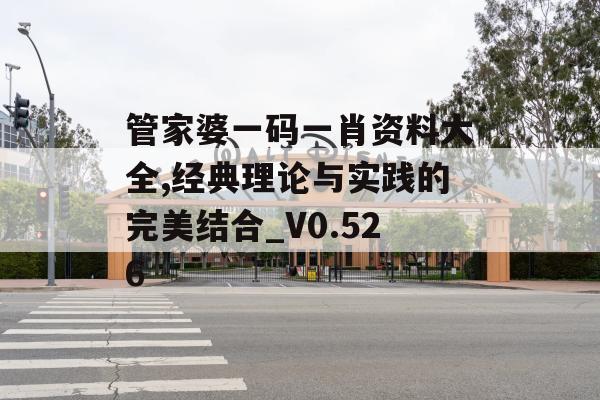 管家婆一码一肖资料大全,经典理论与实践的完美结合_V0.526