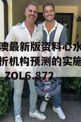 新澳最新版资料心水,解析机构预测的实施策略_ZOL6.872