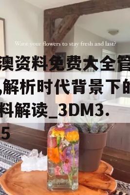 新澳资料免费大全管家婆,解析时代背景下的资料解读_3DM3.545