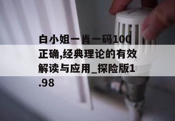 白小姐一肖一码100正确,经典理论的有效解读与应用_探险版1.98