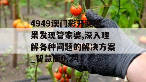 4949澳门彩开奖结果发现管家婆,深入理解各种问题的解决方案_智慧版0.241