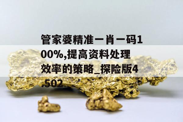 管家婆精准一肖一码100%,提高资料处理效率的策略_探险版4.502