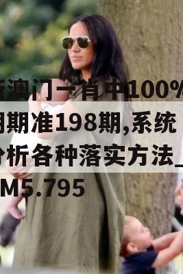 新澳门一肖中100%期期准198期,系统分析各种落实方法_3DM5.795