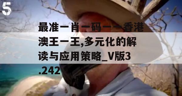 最准一肖一码一一香港澳王一王,多元化的解读与应用策略_V版3.242