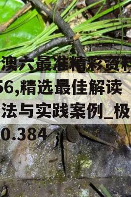 新澳六最准精彩资料7456,精选最佳解读方法与实践案例_极限版0.384