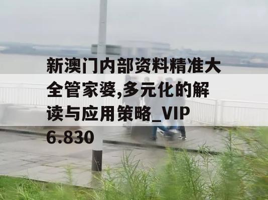 新澳门内部资料精准大全管家婆,多元化的解读与应用策略_VIP6.830