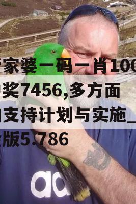 管家婆一码一肖100中奖7456,多方面的支持计划与实施_冒险版5.786