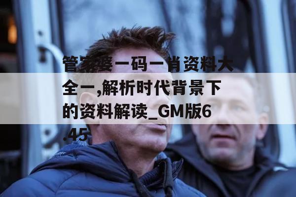 管家婆一码一肖资料大全一,解析时代背景下的资料解读_GM版6.45