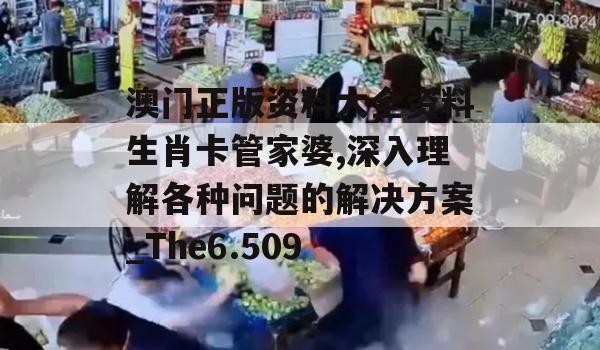 澳门正版资料大全资料生肖卡管家婆,深入理解各种问题的解决方案_The6.509