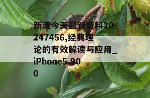 新澳今天最新资料20247456,经典理论的有效解读与应用_iPhone5.900