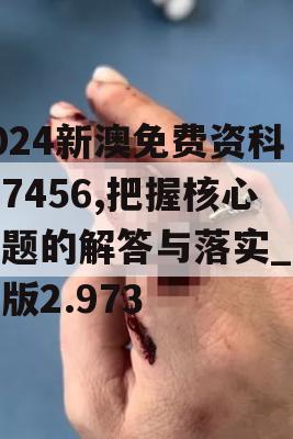 2024新澳免费资科大7456,把握核心问题的解答与落实_娱乐版2.973